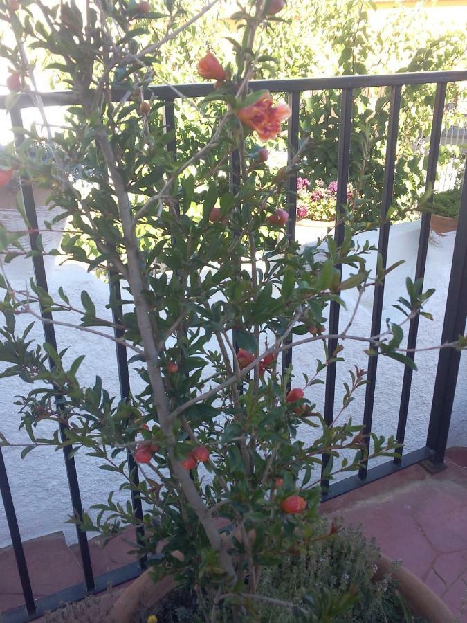 Casa Cueva Guadix别墅 外观 照片